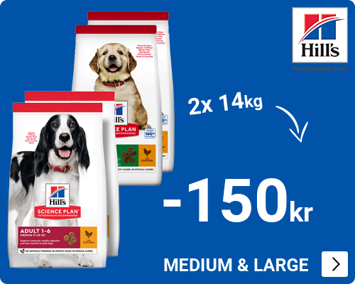 Hills -20 euro bij 2x grootverpakking DOG